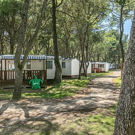 Campsite Albatross Mobile Homes On Ca'savio Cavallino-Treporti